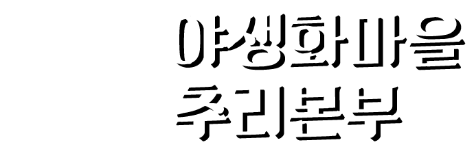 야생화마을 추리본부