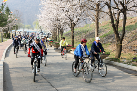 2009 강원 자전거 대행진