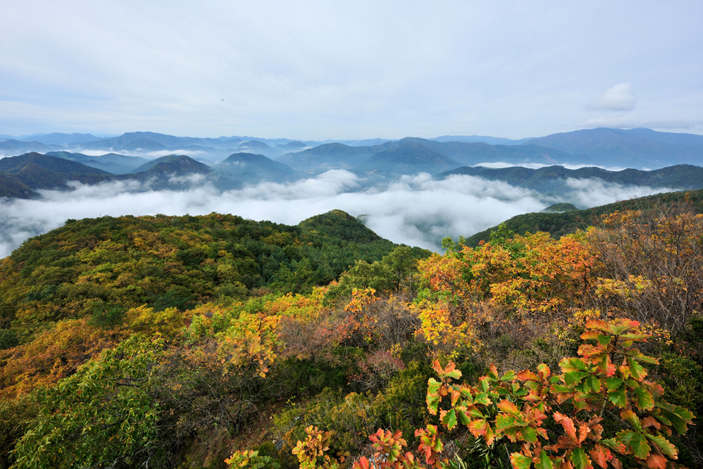 상정바위 등산로 이미지 10